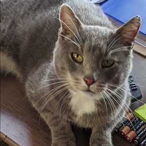 Meet your Posher, Anne